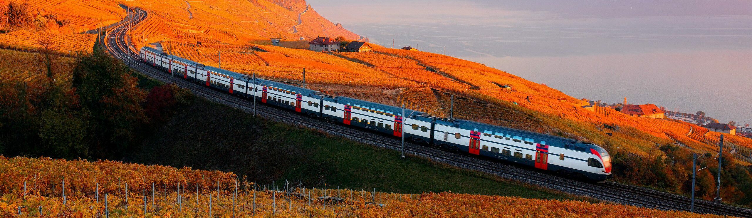 An,Sbb,Train,Traveling,On,A,Railway,Curve,Thru,Lavaux