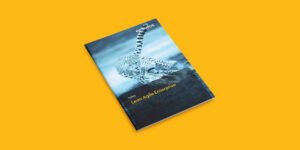 Eraneos Whitepaper -  Lean Agile Enterprise