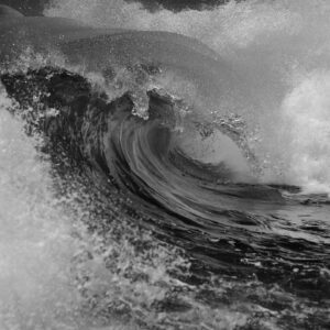 Learning from resilient companies: The model of organizational resilience