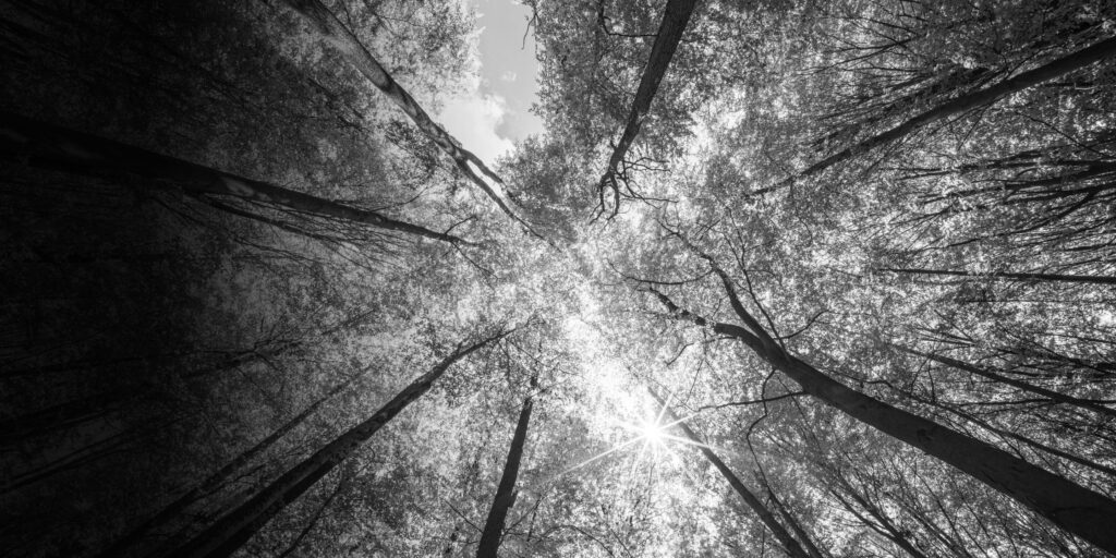 A multi-faceted approach for Sustainability