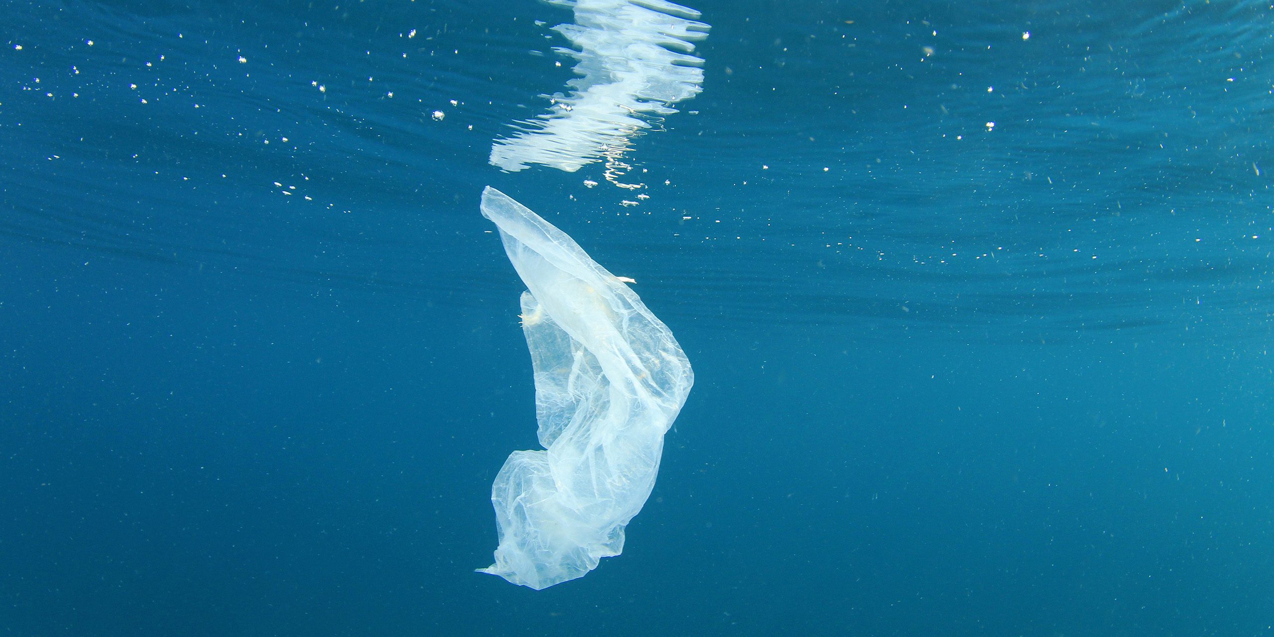 Sneller inspelen op kansen en slim omgaan met uitdagingen voor The Ocean Cleanup