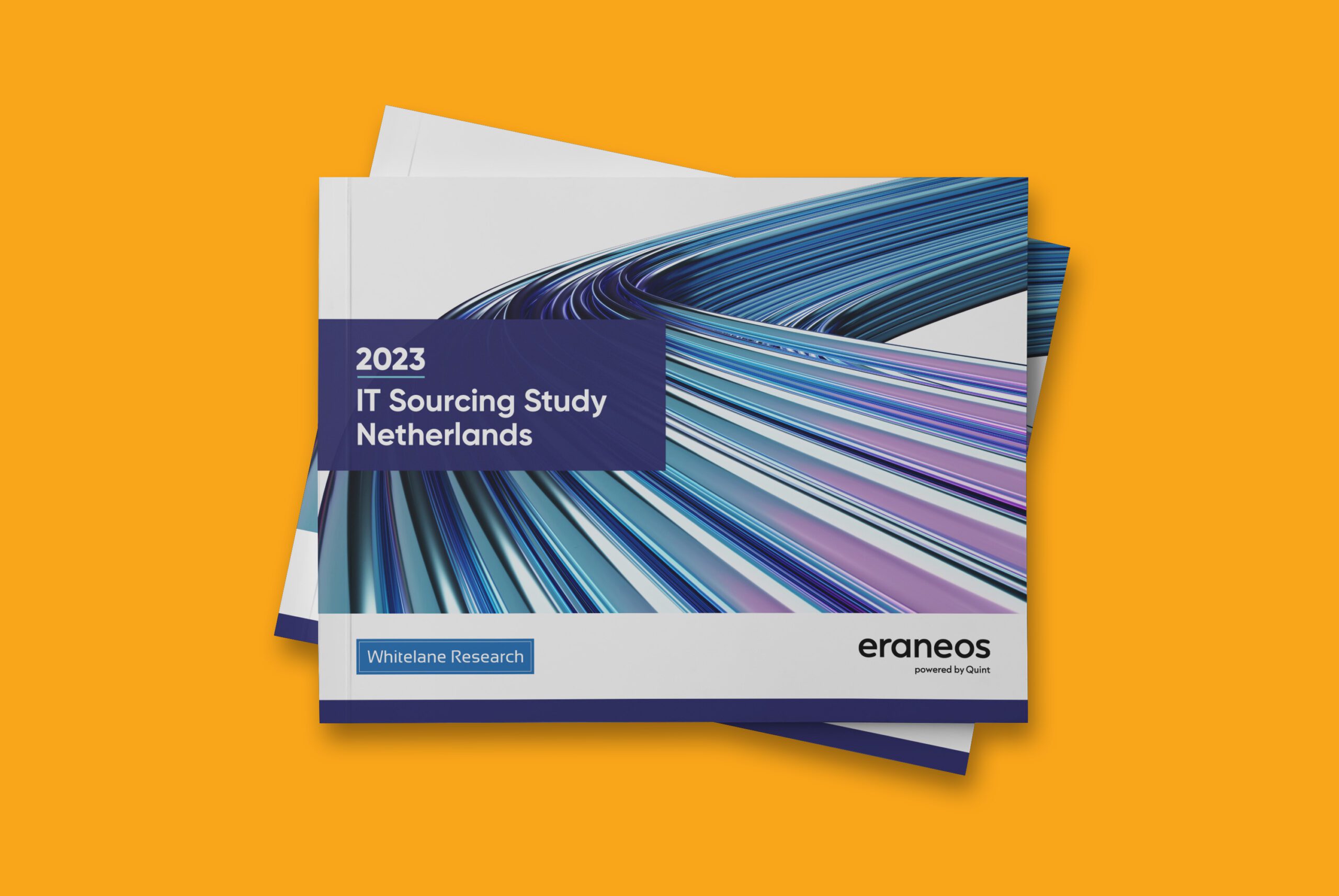 Dutch IT Sourcing Study Results 2023