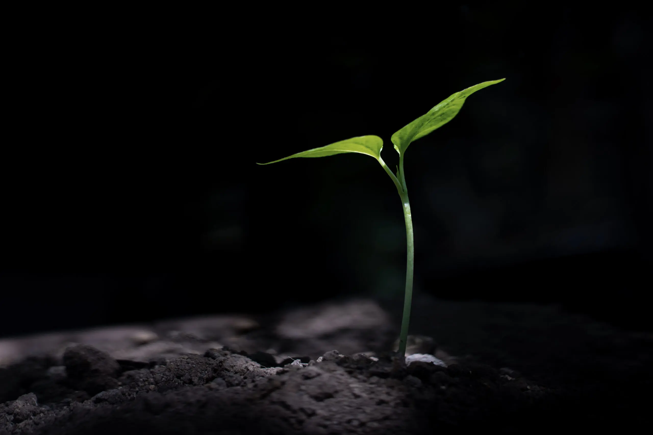 Sustainability is measurable