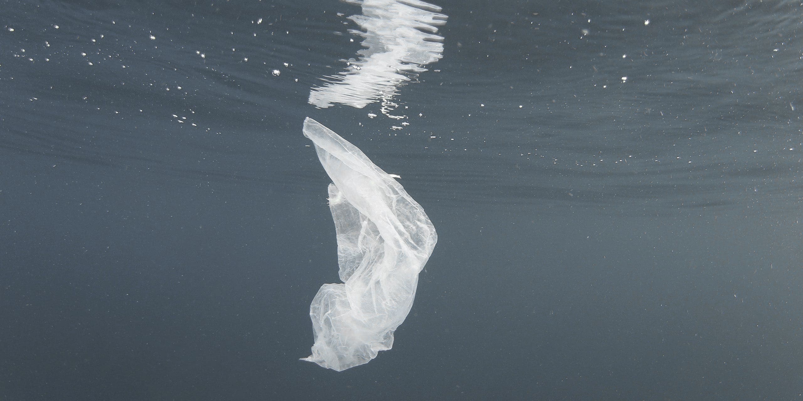 Sneller inspelen op kansen en slim omgaan met uitdagingen voor The Ocean Cleanup