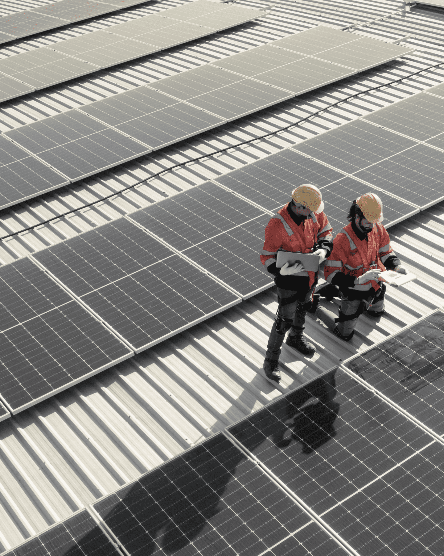Energiewende: Ihr Partner für Transformation und Wachstum
