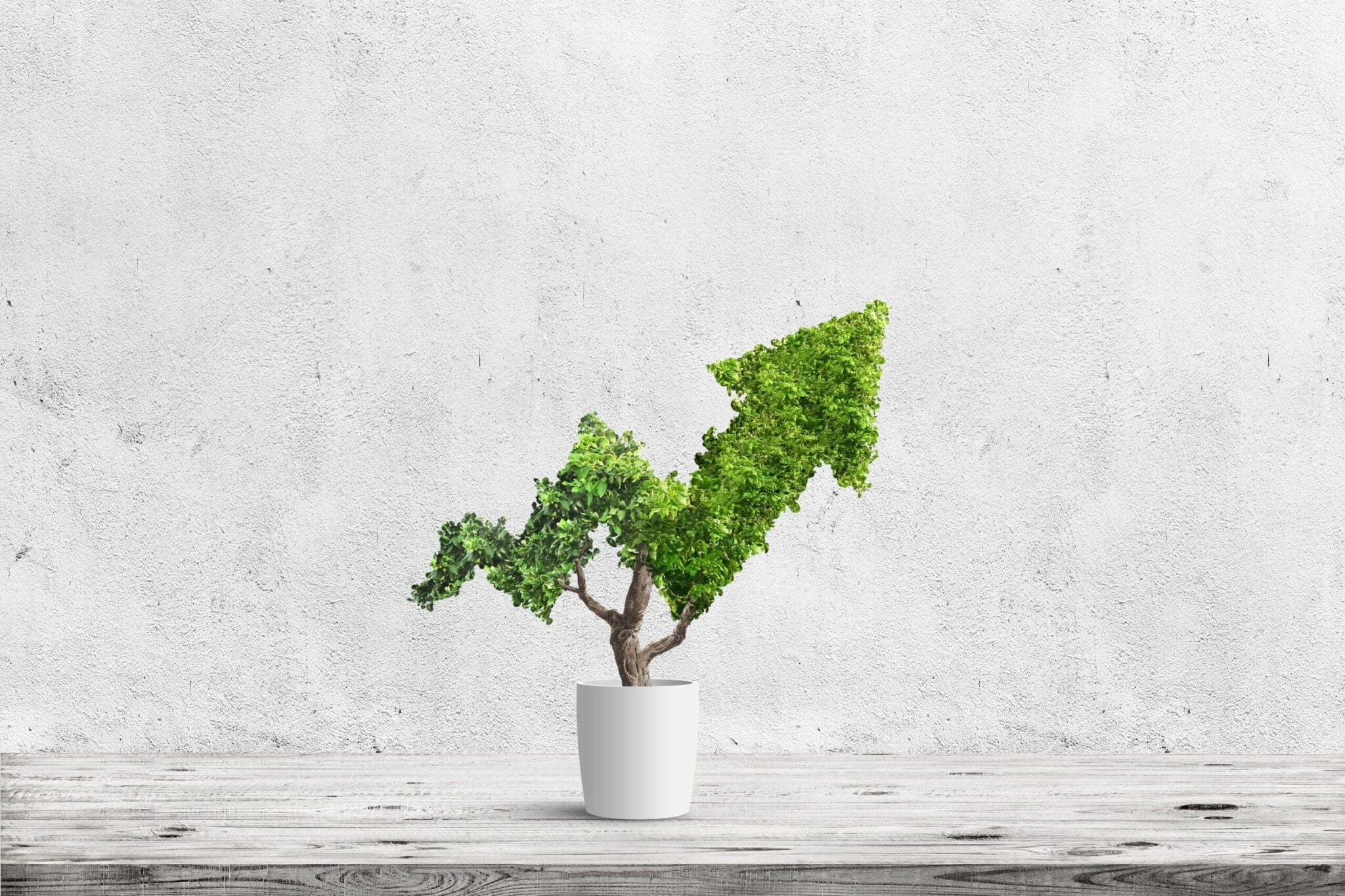 Sustainability-Oriented Innovation