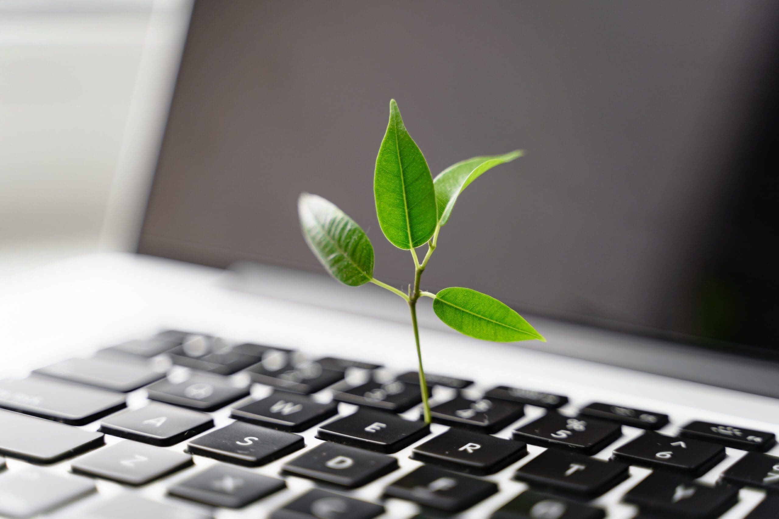 ESG Reporting Consulting