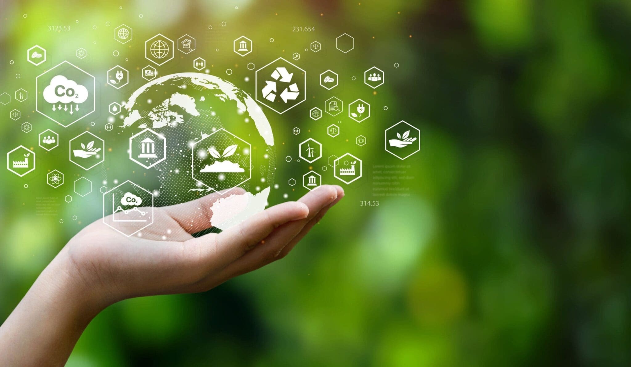 Sustainable Procurement