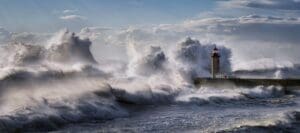 Cyber resilience and agility in a complex landscape
