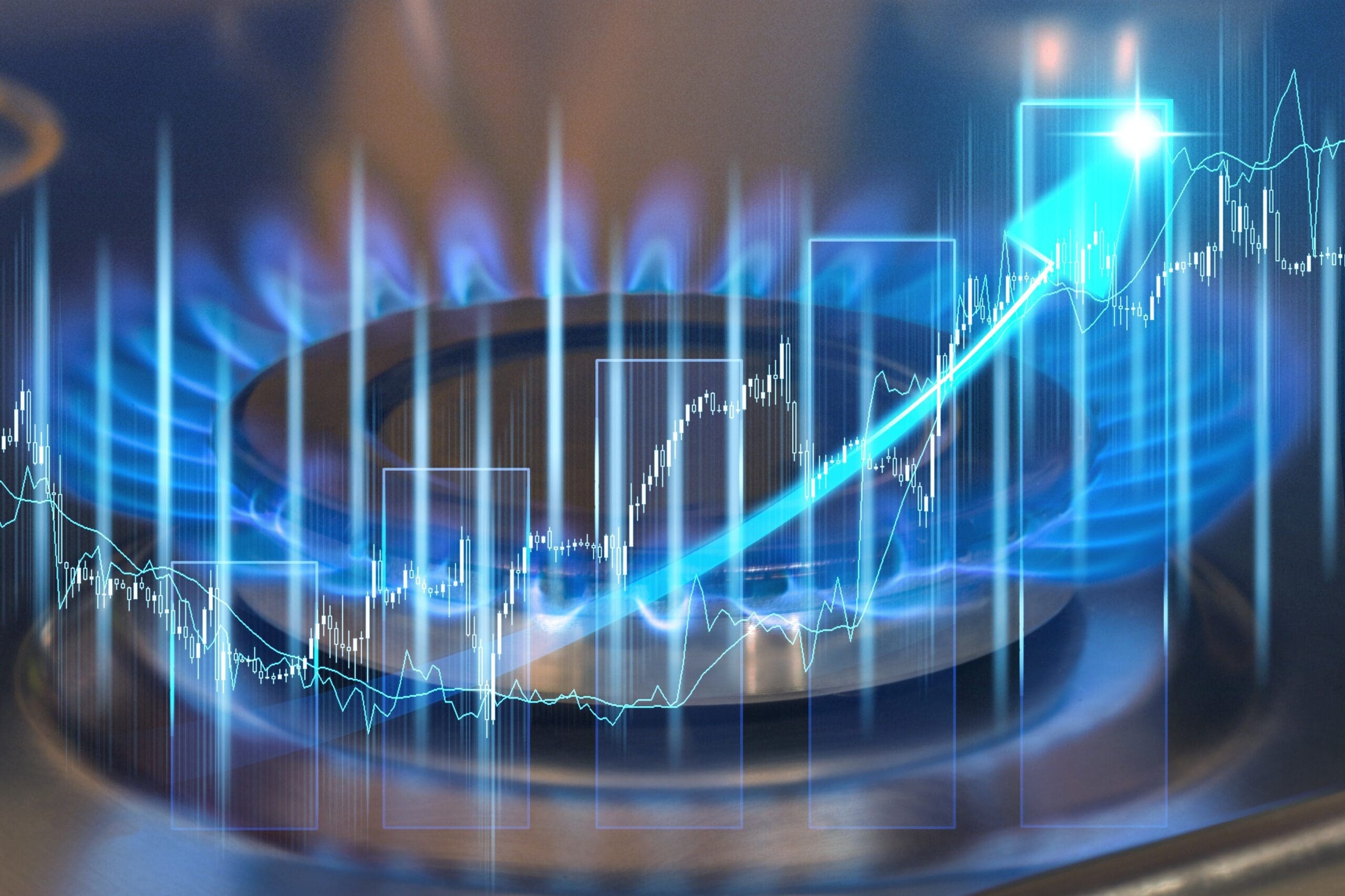 Brilliance in Resilience Part 4: Energy and Inflation Disruptions