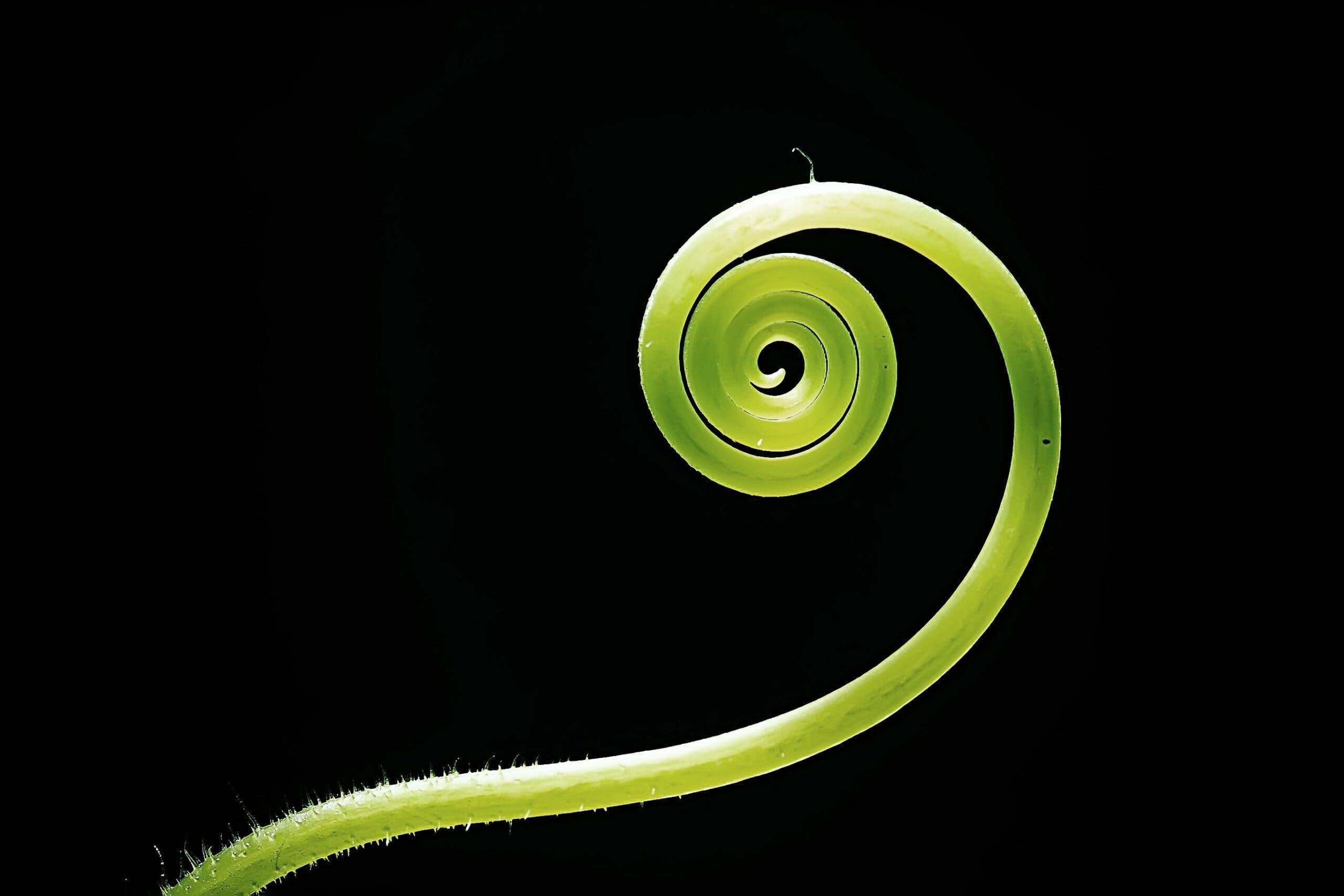 Eraneos Women UnITed event