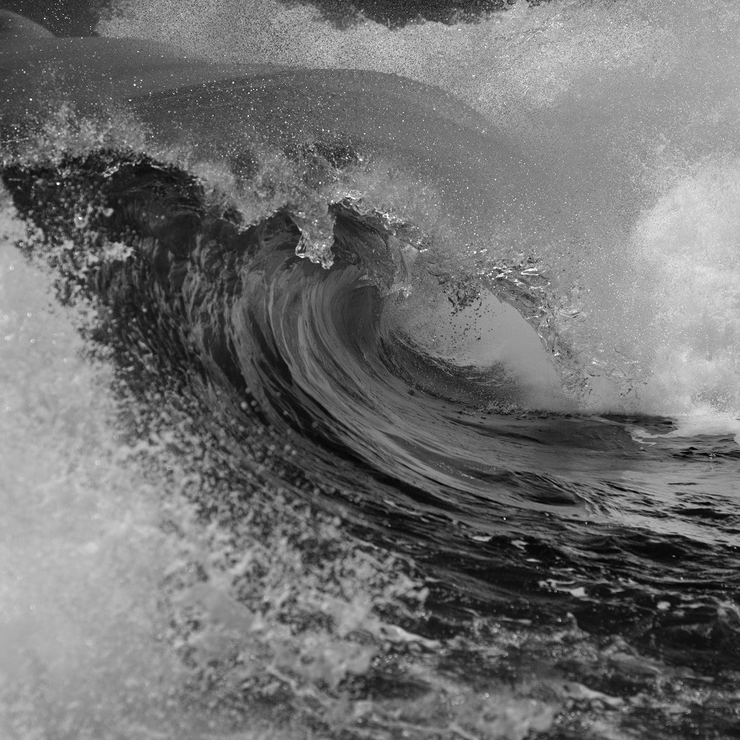 Learning from resilient companies: The model of organizational resilience