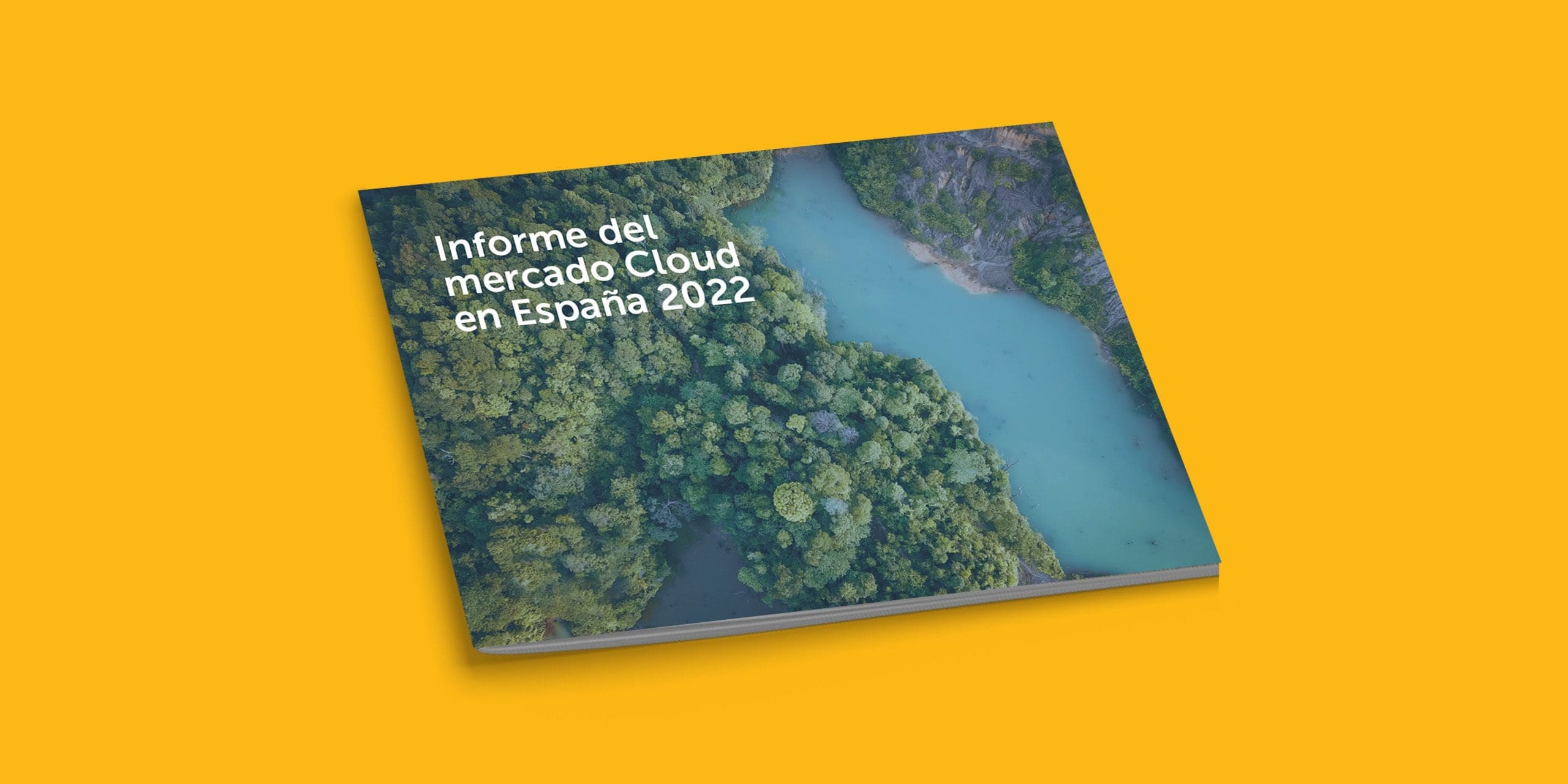 Informe del Mercado Cloud en España 2022