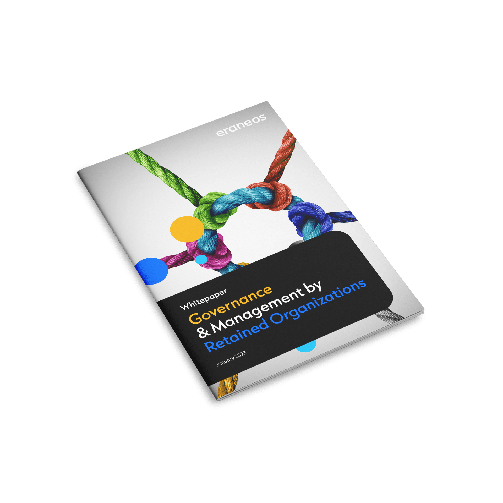 Governance and Management by Retained Organizations | Eraneos