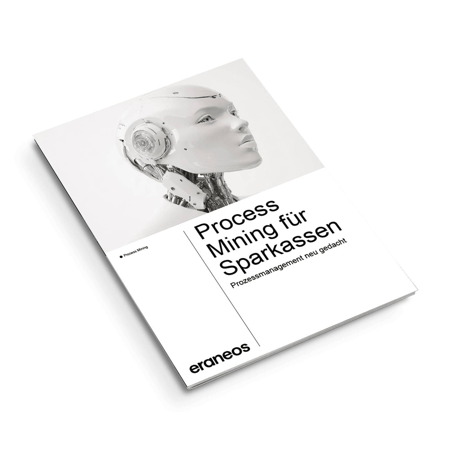 Process Mining für Sparkassen